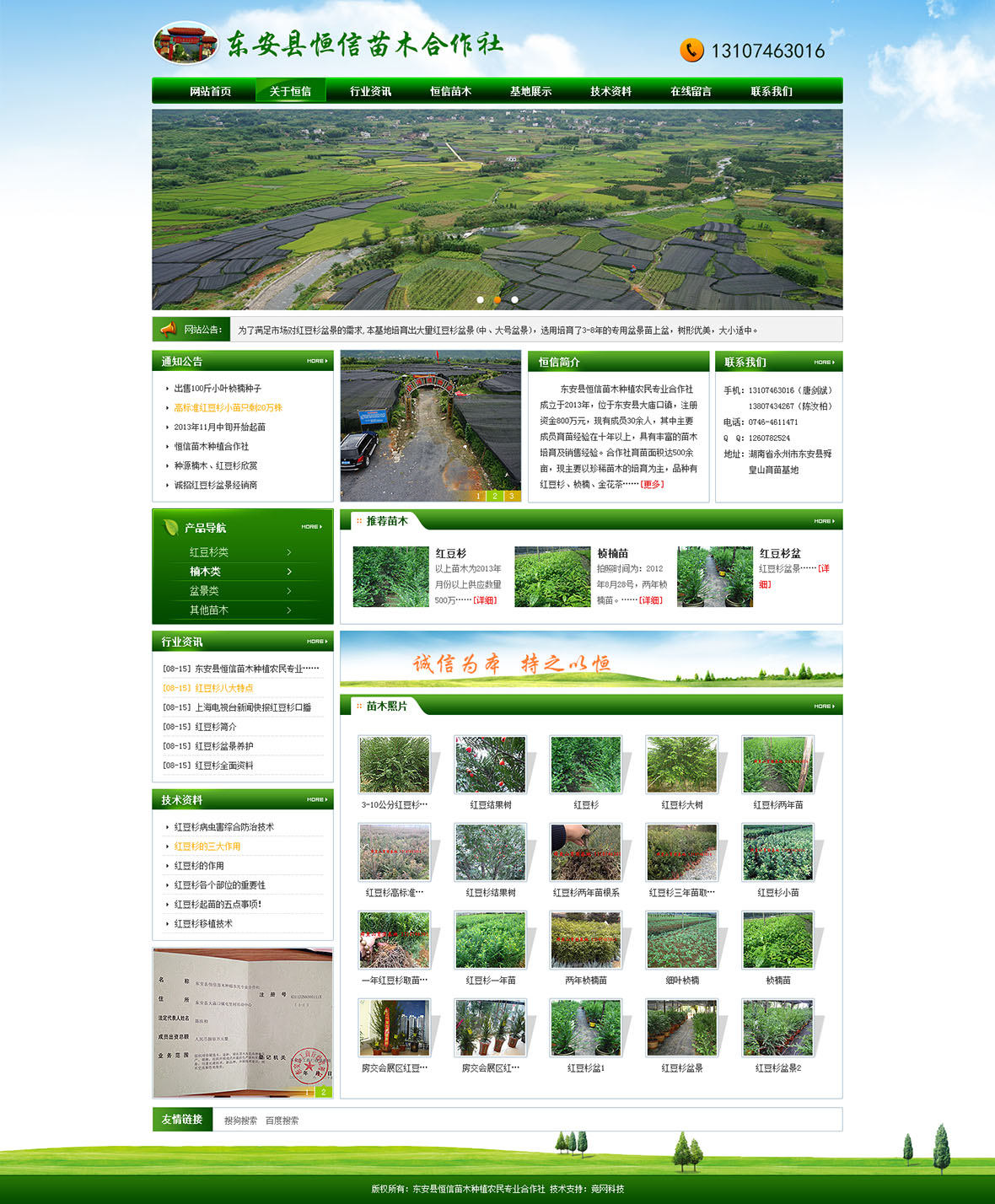 東安縣恒信苗木種植農(nóng)民專業(yè)合作社 東安縣恒信苗木種植農(nóng)民專業(yè)合作社