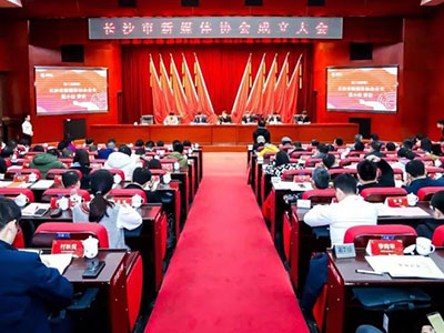 長沙市新媒體協會正式成立，陳花當選協會秘書長